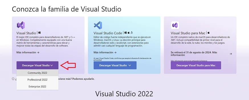 Tipos de Visual Studio