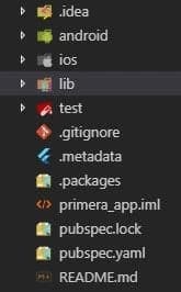 Estructura de un proyecto Flutter