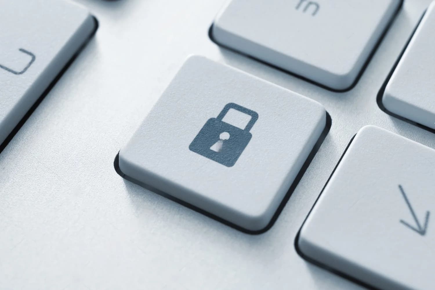 tecnología IPS